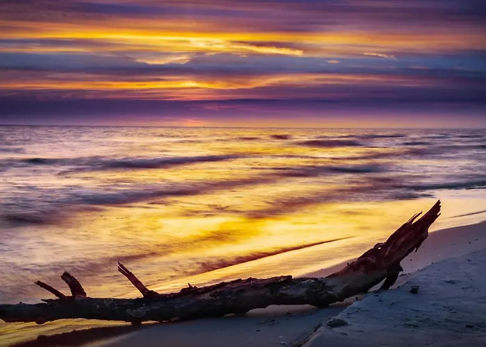 Comfortable And Cozy Homes For 5 People, *